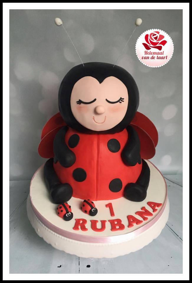 3D Lieveheersbeestje taart Utrecht Leidsche Rijn - lieveheersbeestje_taart_hvdt