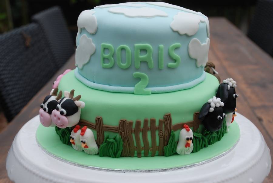 Boerderijtaart Utrecht - kindertaarten(10)